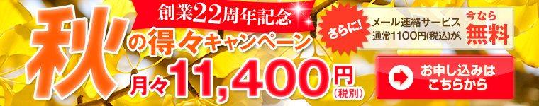 n22NLOIH̓XLy[X11,400~iŕʁj ɁIʏ1,100~iōj̃[AT[rX \݂͂炩